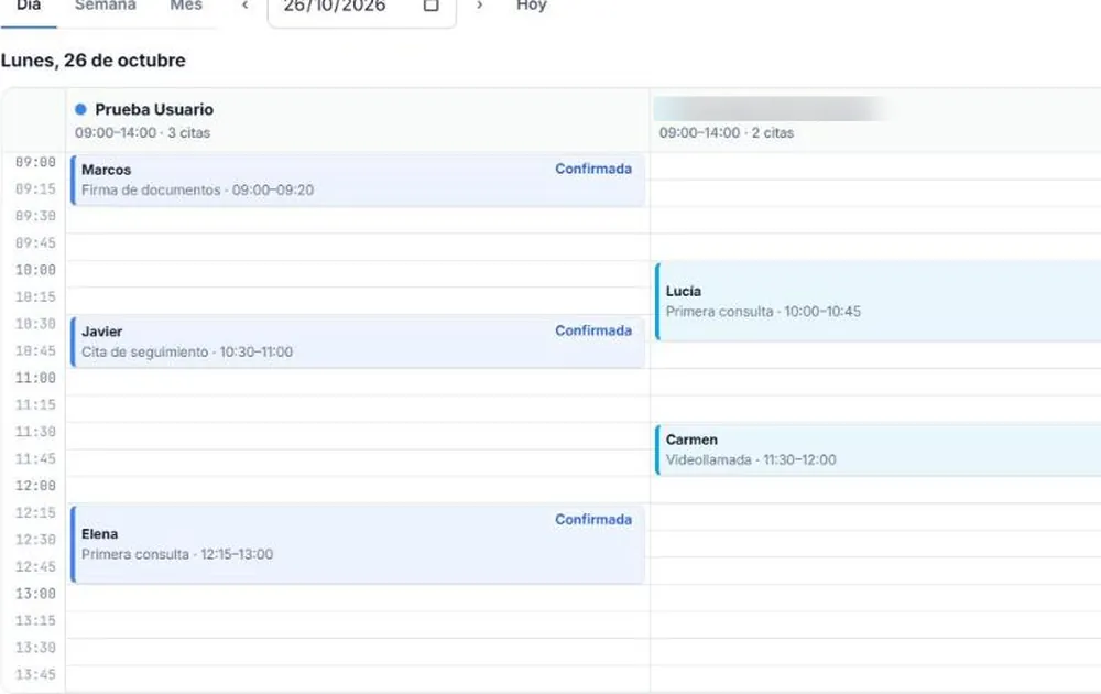Agenda del día en el Portal de RepuStar, con citas de ejemplo por profesional